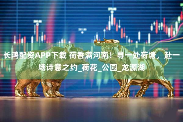 长鸿配资APP下载 荷香满河南！寻一处荷塘，赴一场诗意之约_荷花_公园_龙源湖