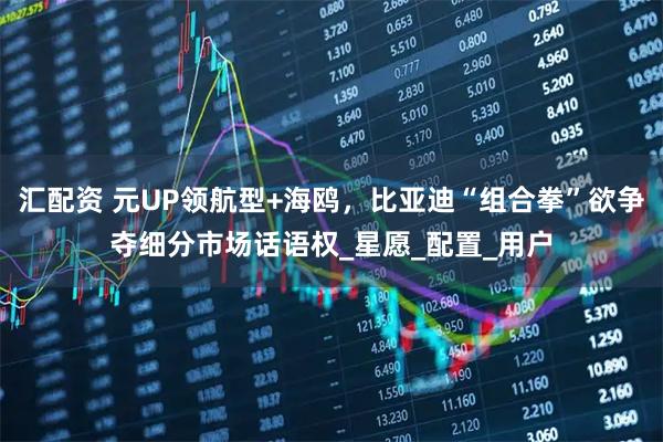 汇配资 元UP领航型+海鸥，比亚迪“组合拳”欲争夺细分市场话语权_星愿_配置_用户