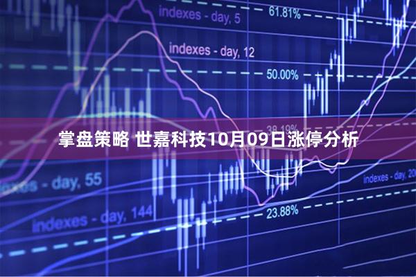 掌盘策略 世嘉科技10月09日涨停分析
